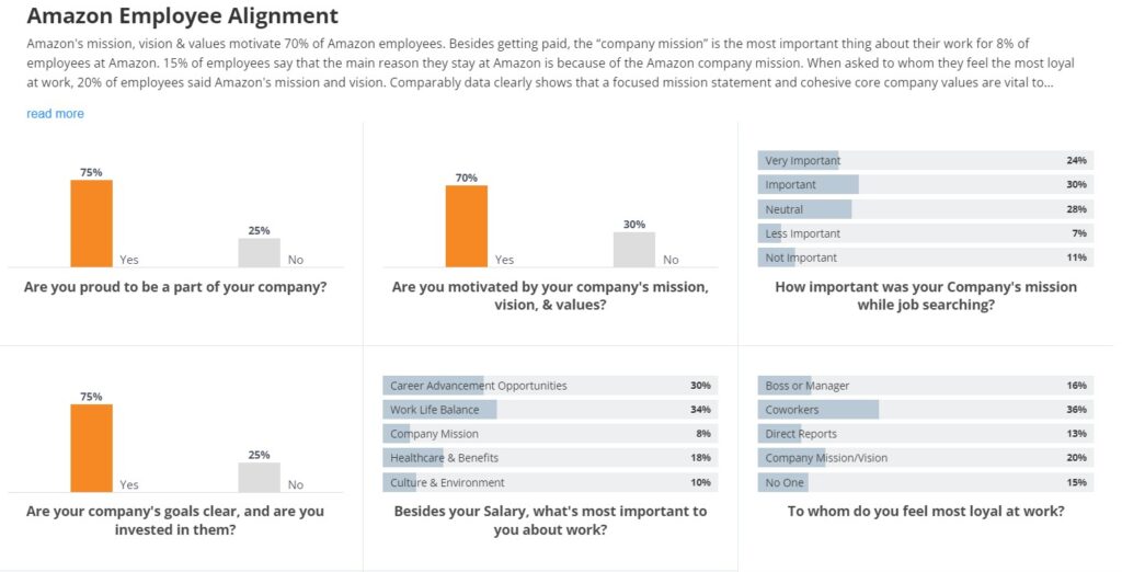 How Amazon is Achieving Vision Success | Amazon Employee Engagement Survey