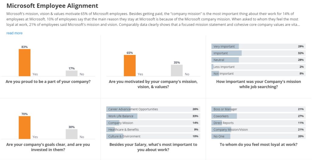 How Microsoft is Achieving Vision Success | Microsoft Employee Engagement Survey