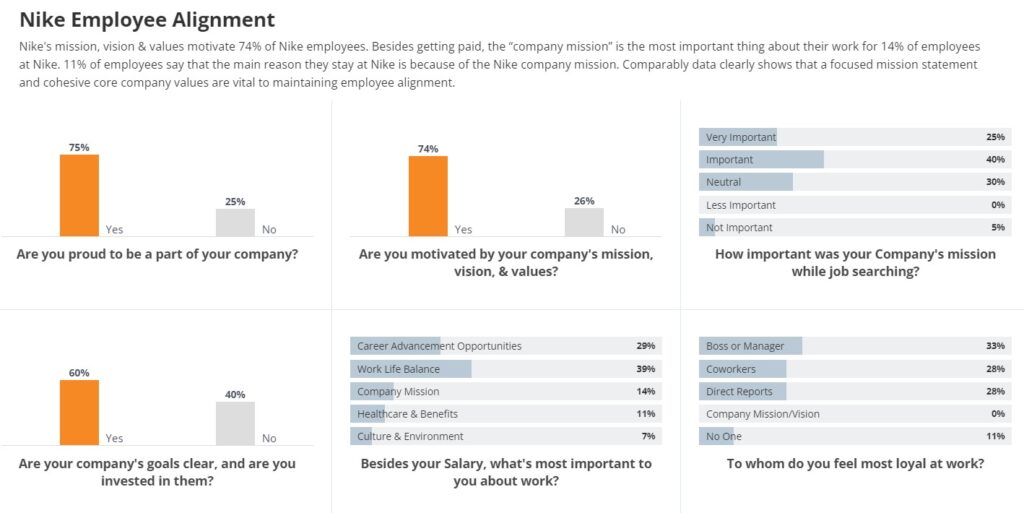 How Nike is Achieving Vision Success | Nike Employee Engagement Survey